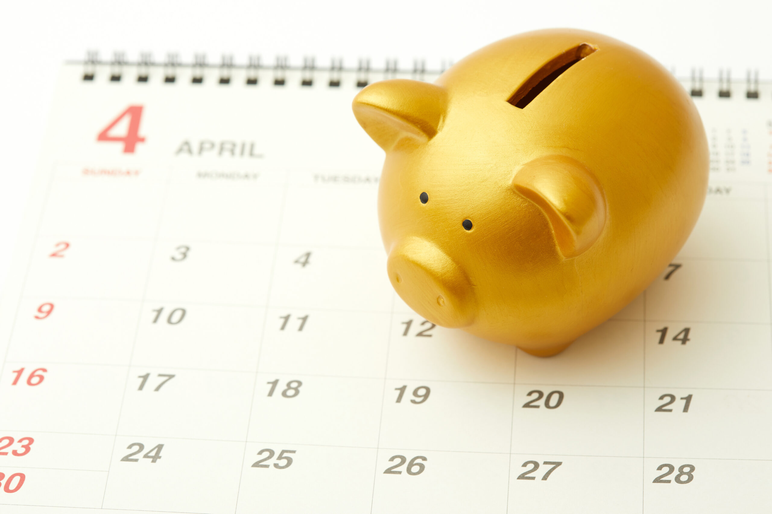 金豚貯金箱とカレンダー