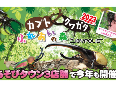 【横浜・京都・鹿児島】夏休みのお出かけに！「カブト・クワガタ ふれあいの森2023」が今年も開催