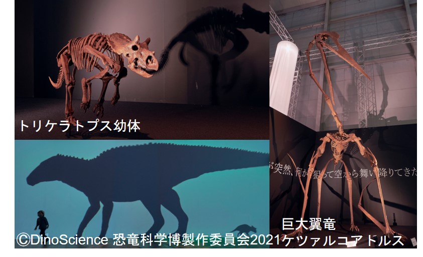 恐竜科学博の展示1枚目