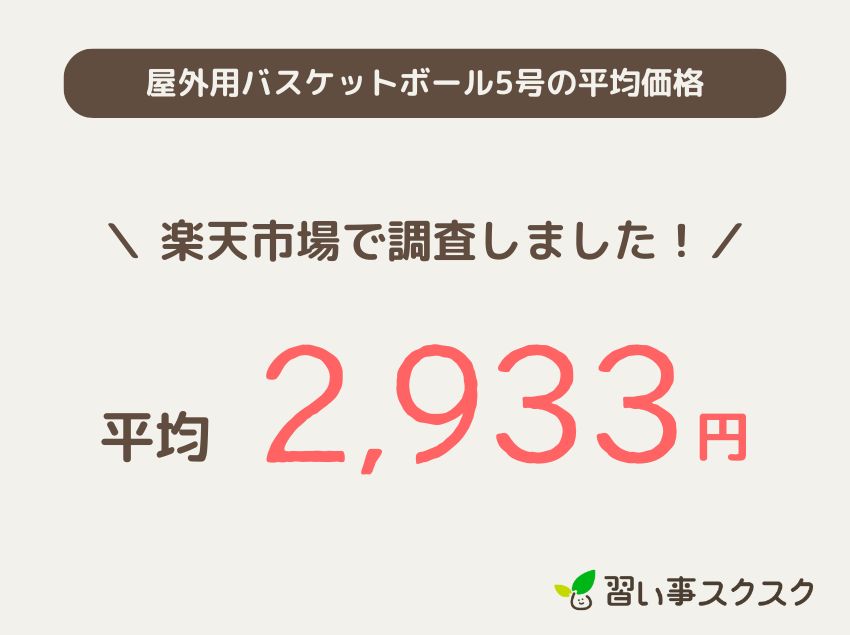 屋外用バスケットボール5号の平均価格