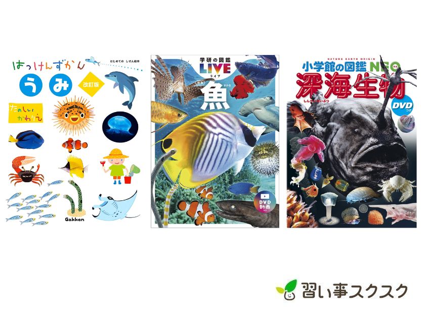 【2024年】海の生き物図鑑おすすめ10選！動画付きや人気の深海魚も