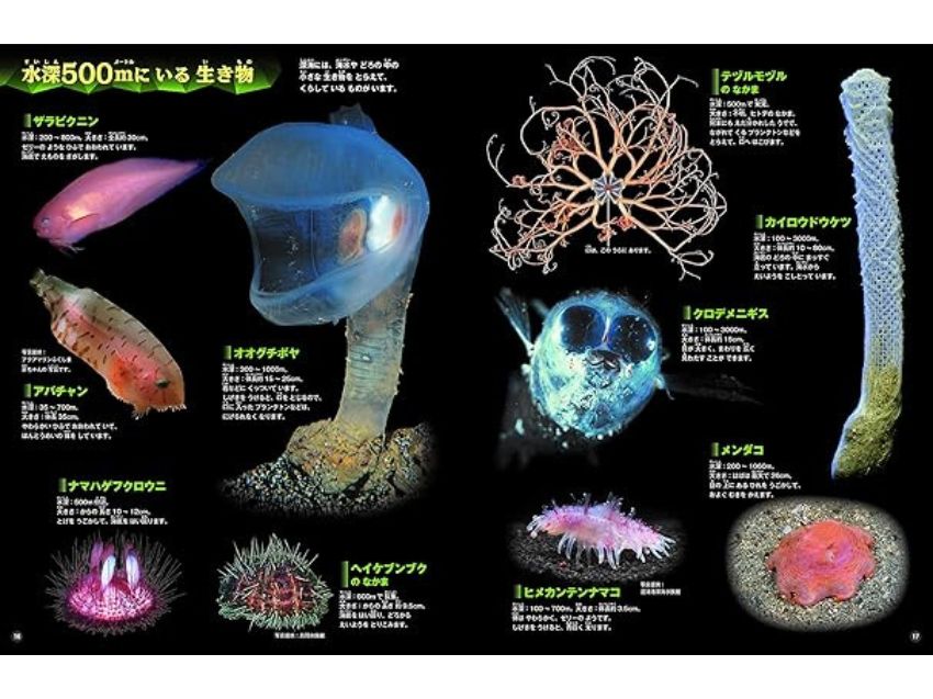 はっけんずかんプラス 深海の生き物