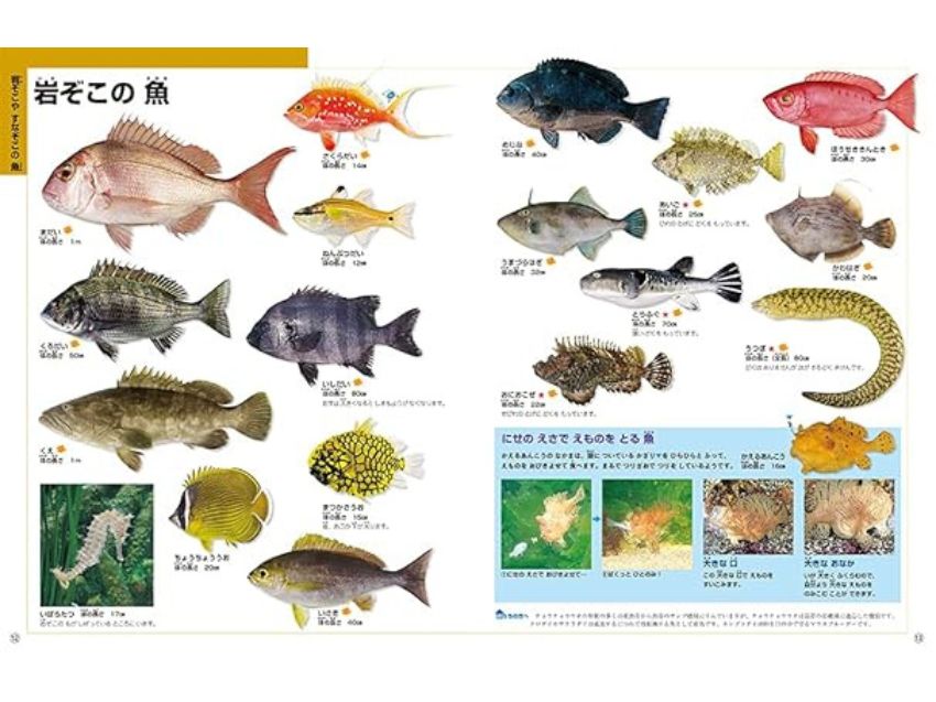 なぜ?どうして?はじめてのこども図鑑 さかな・みずのいきもの