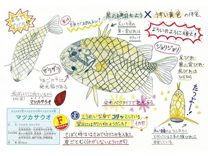 さかな博士のレアうま魚図鑑
