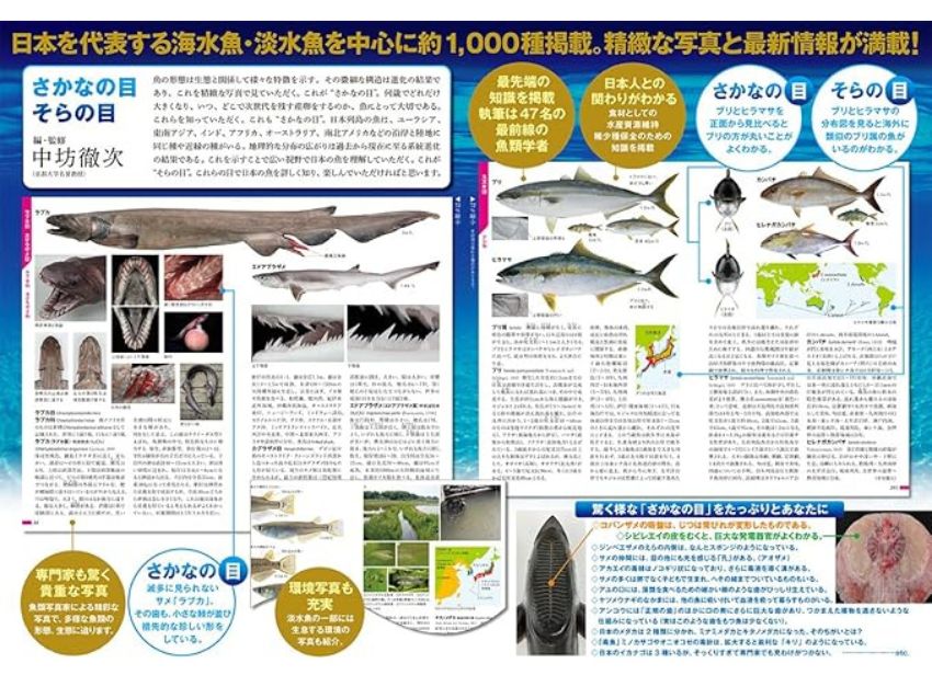 小学館の図鑑Z 日本魚類館 ～精緻な写真と詳しい解説～