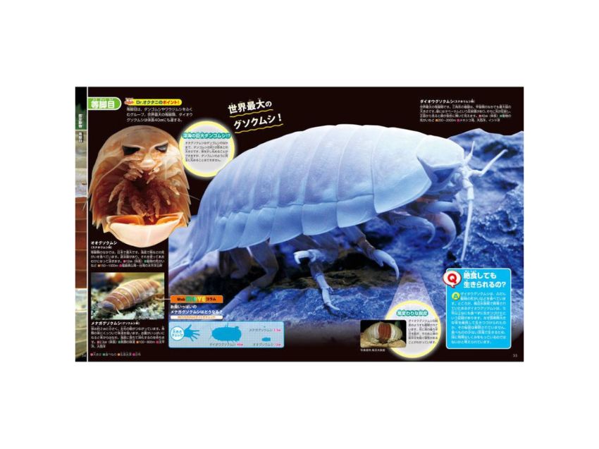 講談社の動く図鑑 EX MOVE 深海の生きもの