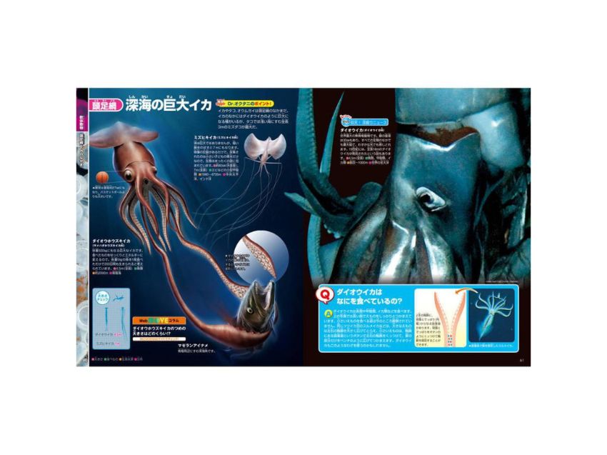 講談社の動く図鑑 EX MOVE 深海の生きもの