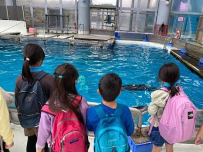 水族館のイルカショーを観賞する子供たち