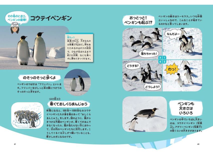 北極と南極のへぇ～ くらべてわかる地球のこと