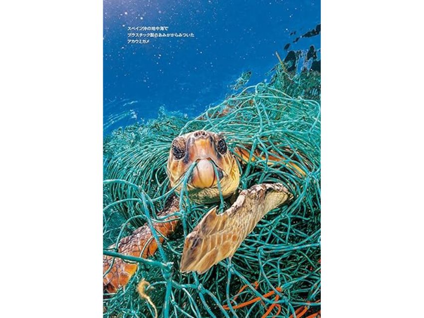 クジラのおなかからプラスチック