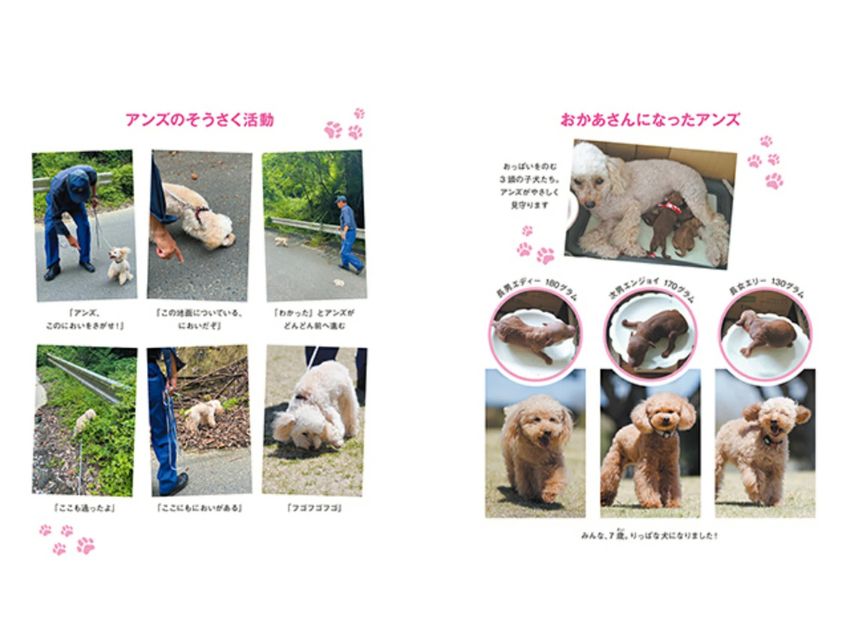 おかあさんになった警察犬アンズ 子犬たちにつたえる強さ・やさしさ・がんばる気持ち