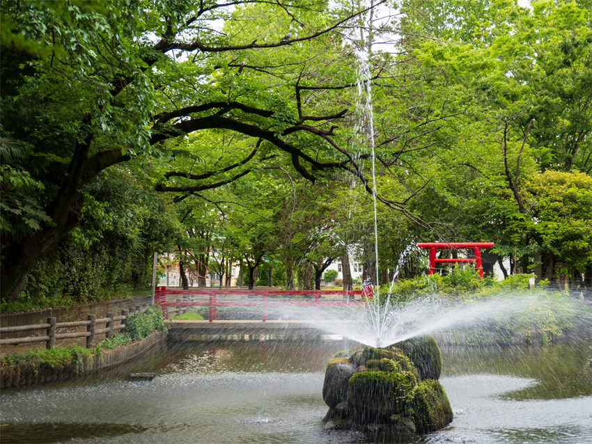 与野公園