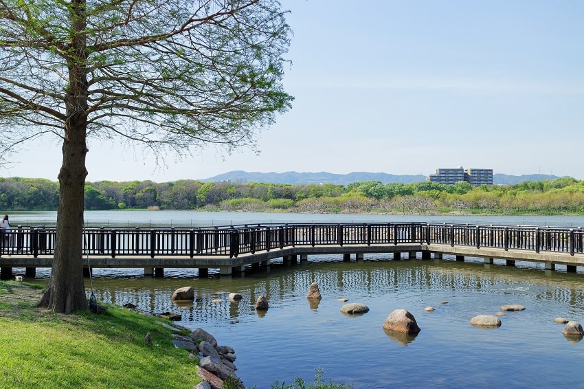 伊丹市昆陽池公園