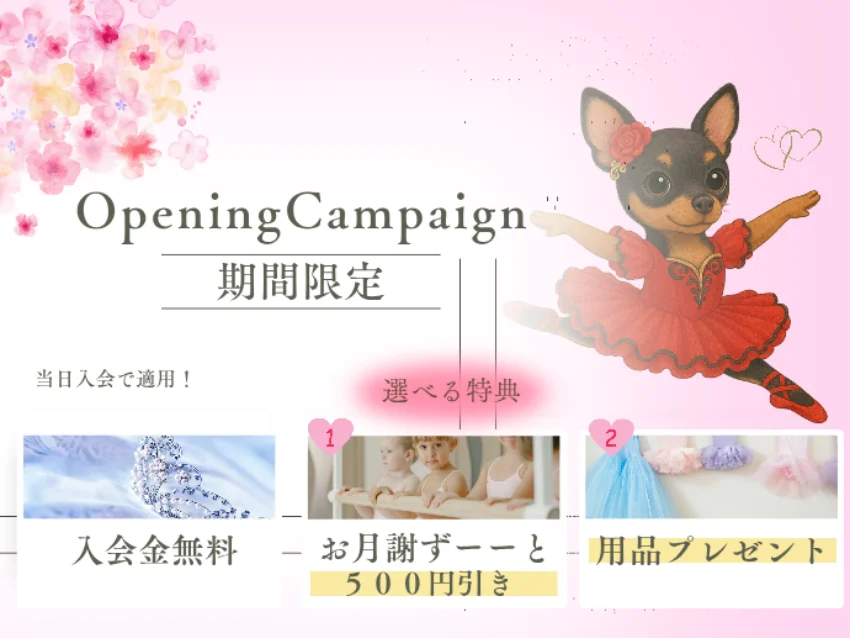 Luminous Ballet Studioのキャンペーン延長！