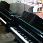 松本ピアノ教室の簡単な体験レッスンを行なっております
