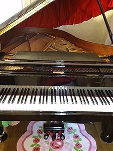 ひろみPiano教室のひろみＰｉａｎｏ教室　体験・キャンペーン情報