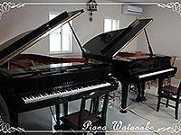 渡辺ピアノ教室の渡辺ピアノ教室　体験・キャンペーン情報