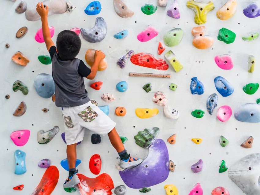 EGAOスポーツパークのクライミング