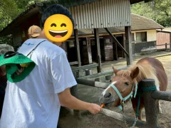 ラボ・パーティ 芦屋市川西町教室(小合パーティ)の紹介写真