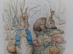 ロージーグループ