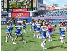 横浜DeNAベイスターズチアスクール 横浜武道館校