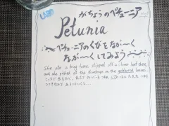 "Petuniaーがちょうのペチュニア"の首が…