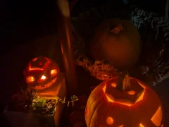 トムソーヤグループ