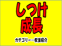 誤魔化すと必ずしっぺ返しが来る。覚悟を決めれば、恥も外聞もない。