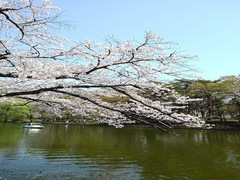 土曜日体験実施中　