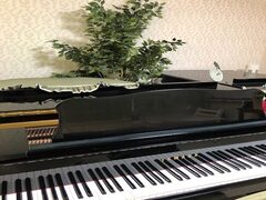 松本ピアノ教室の紹介写真