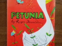 ペチュウーニア グループ